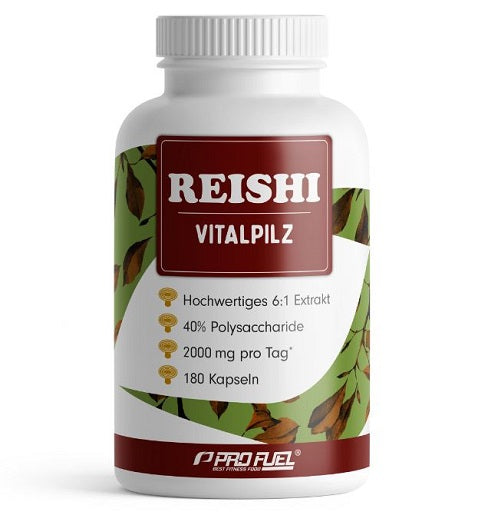Reishi Vitalpilz