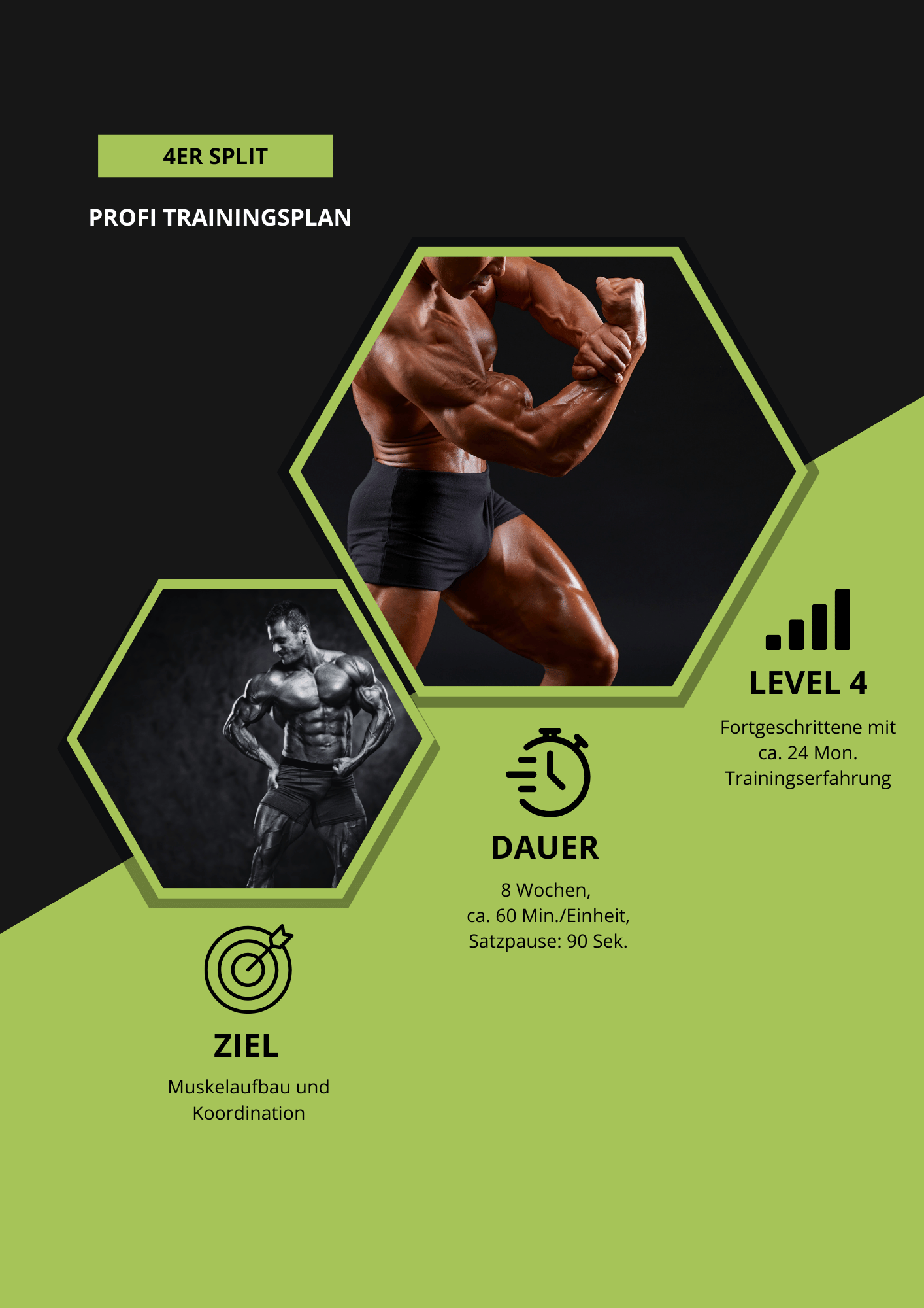 Profi Trainingsplan | 4 Tage