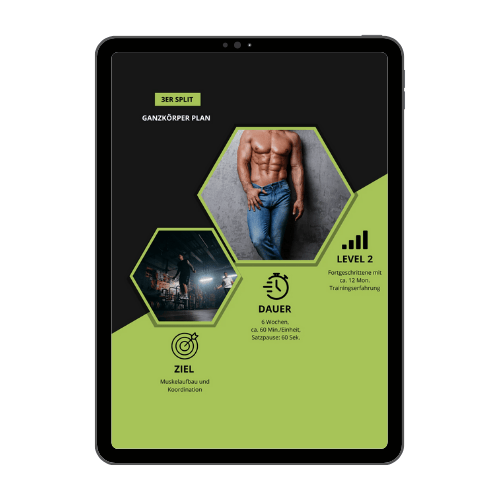  Ganzkörper Trainingsplan